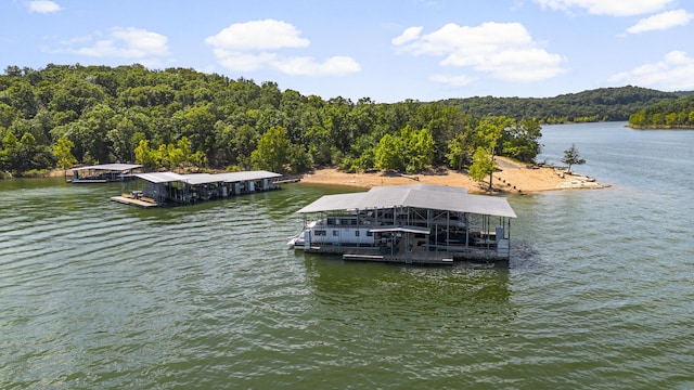 135 Long Point Ln, Ridgedale, MO 65739 - photo 41