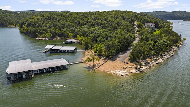 135 Long Point Ln, Ridgedale, MO 65739 - photo 40