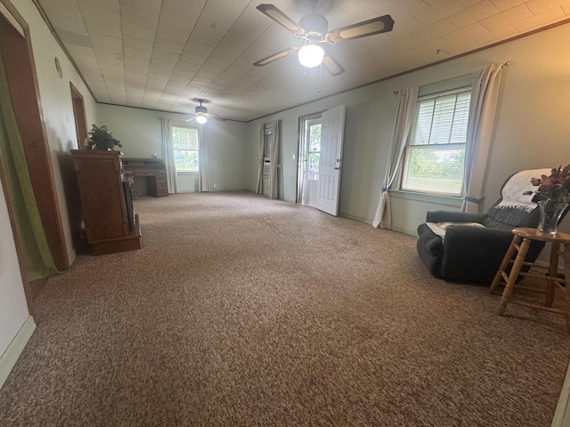 2074 Swinging Bridge Rd, Crane, MO 65633 - photo 23