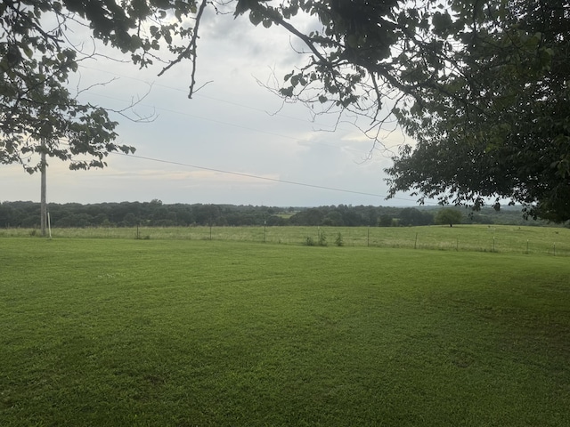 2074 Swinging Bridge Rd, Crane, MO 65633 - photo 16