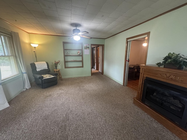 2074 Swinging Bridge Rd, Crane, MO 65633 - photo 32