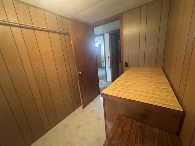 2074 Swinging Bridge Rd, Crane, MO 65633 - photo 39