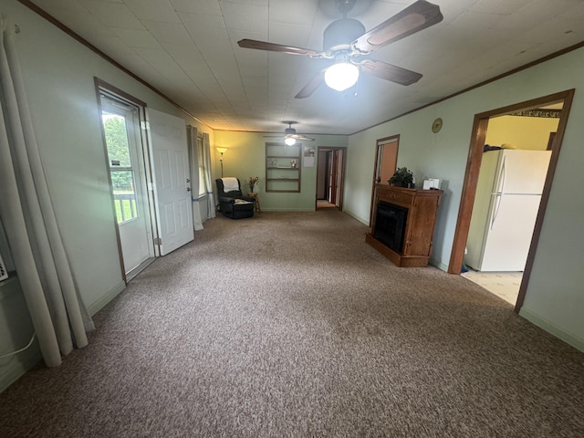 2074 Swinging Bridge Rd, Crane, MO 65633 - photo 22