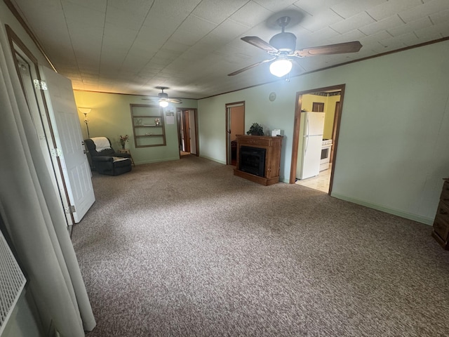 2074 Swinging Bridge Rd, Crane, MO 65633 - photo 21
