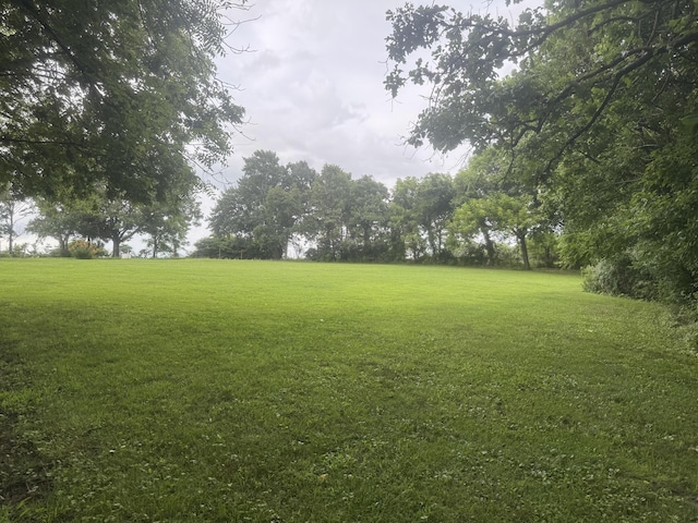2074 Swinging Bridge Rd, Crane, MO 65633 - photo 53
