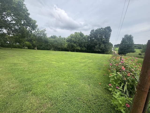 2074 Swinging Bridge Rd, Crane, MO 65633 - photo 48