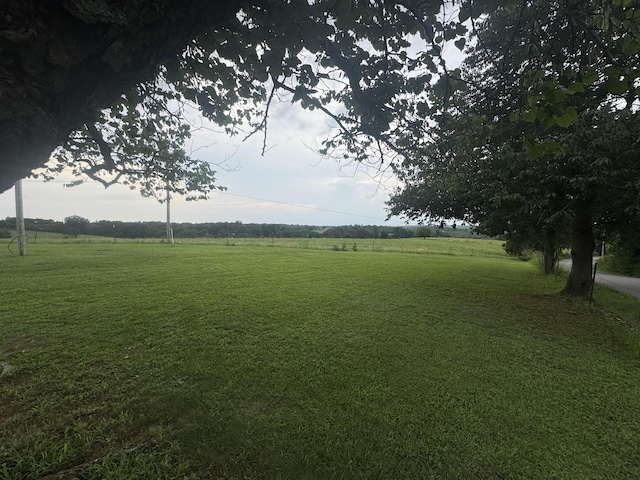 2074 Swinging Bridge Rd, Crane, MO 65633 - photo 70