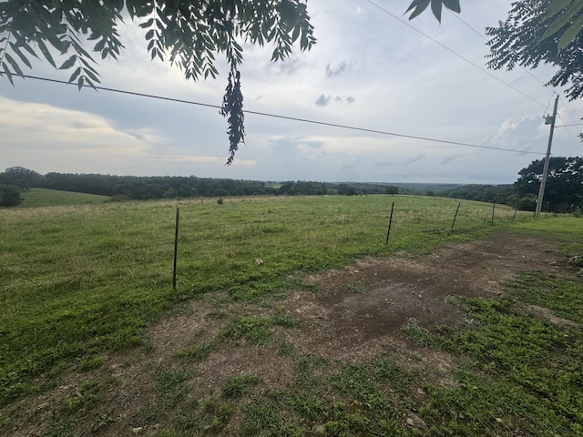 2074 Swinging Bridge Rd, Crane, MO 65633 - photo 78