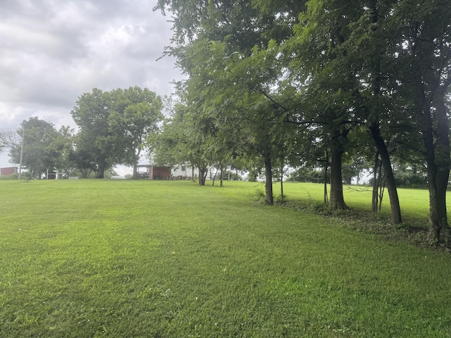 2074 Swinging Bridge Rd, Crane, MO 65633 - photo 54