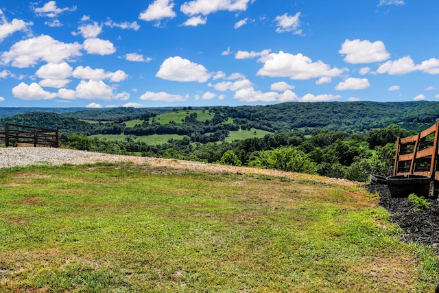 507 Barber Rd, Chadwick, MO 65629 - photo 46