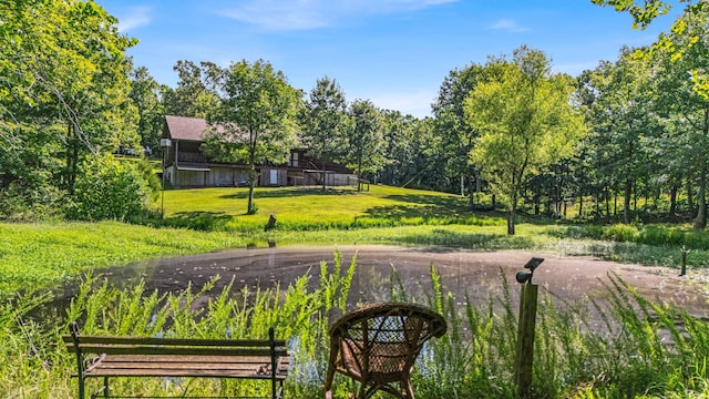 12756 County Road 8790, West Plains, MO 65775 - photo 29