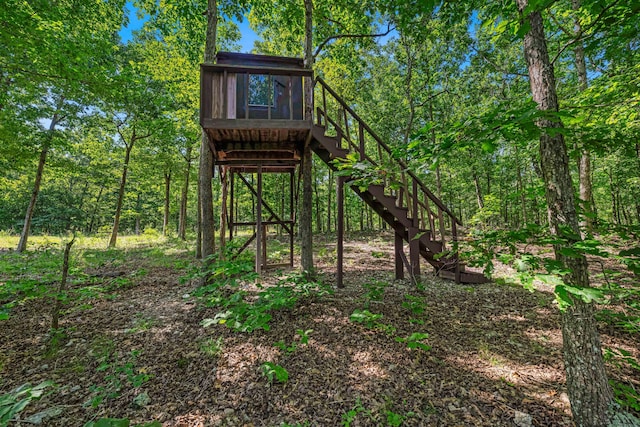 12756 County Road 8790, West Plains, MO 65775 - photo 35