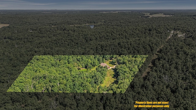 12756 County Road 8790, West Plains, MO 65775 - photo 37