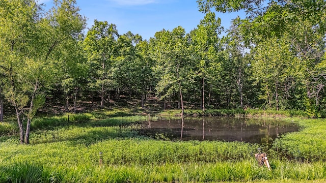 12756 County Road 8790, West Plains, MO 65775 - photo 28