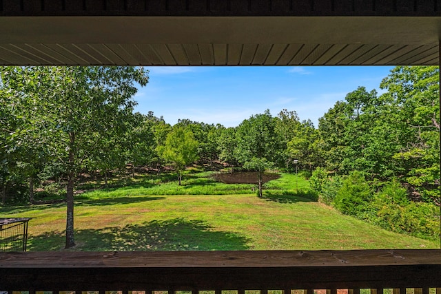 12756 County Road 8790, West Plains, MO 65775 - photo 27