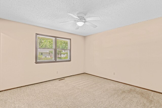 3543 S Nettleton Ave, Springfield, MO 65807 - photo 12