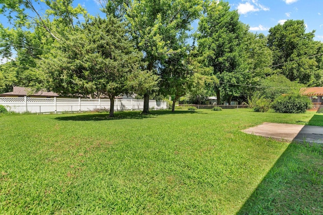 3543 S Nettleton Ave, Springfield, MO 65807 - photo 18