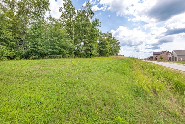 TBD The Lodges Dr, Lampe, MO 65681 - photo 10
