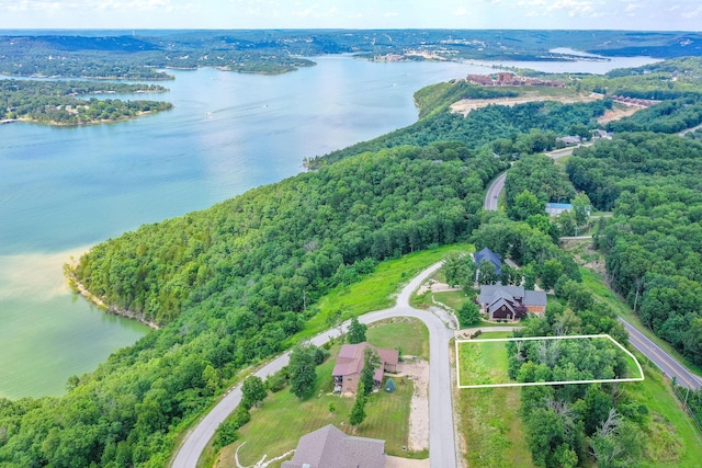 TBD The Lodges Dr, Lampe, MO 65681 - photo 16