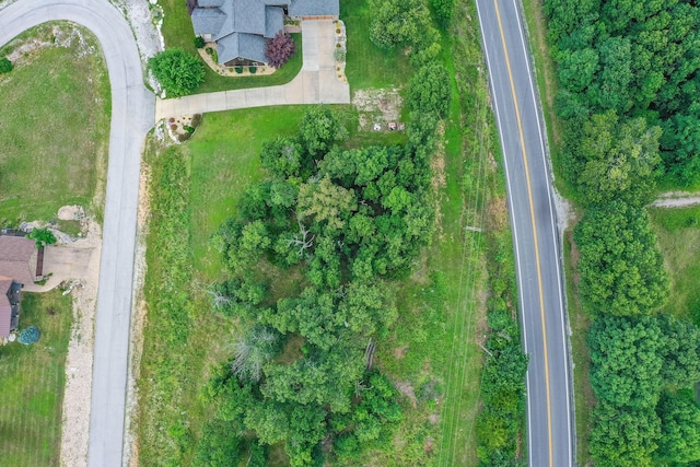 TBD The Lodges Dr, Lampe, MO 65681 - photo 15