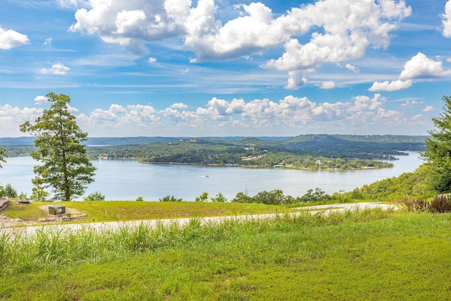 TBD The Lodges Dr, Lampe, MO 65681 - photo 7