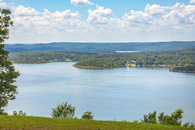 TBD The Lodges Dr, Lampe, MO 65681 - photo 9