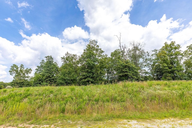 TBD The Lodges Dr, Lampe, MO 65681 - photo 11