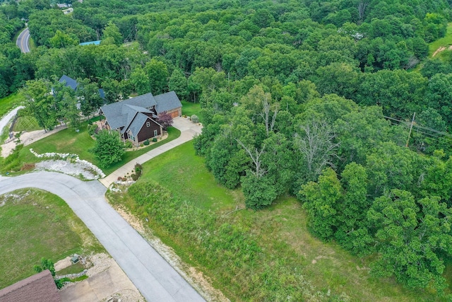 TBD The Lodges Dr, Lampe, MO 65681 - photo 13