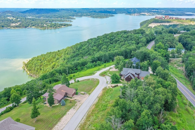 TBD The Lodges Dr, Lampe, MO 65681 - photo 14