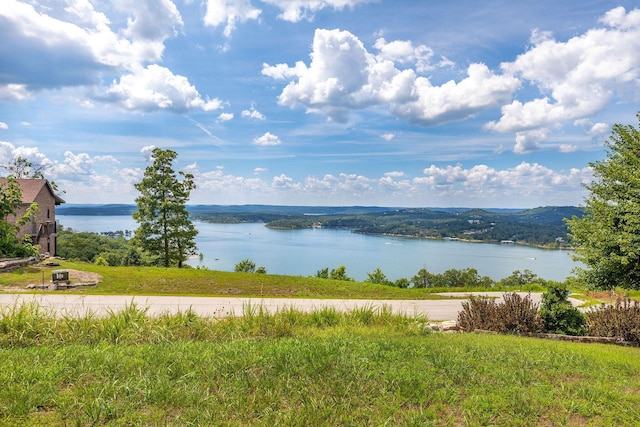 TBD The Lodges Dr, Lampe, MO 65681 - photo 1