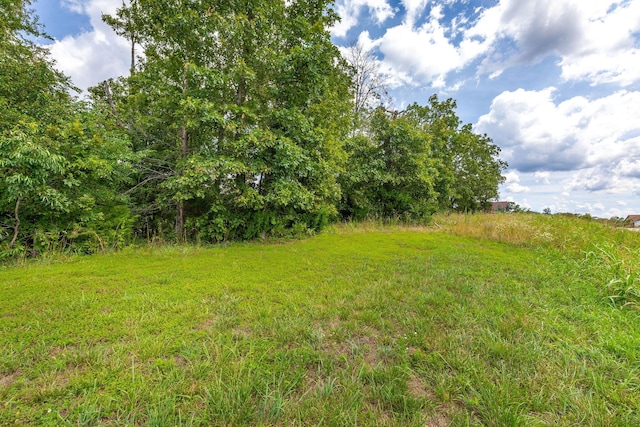TBD The Lodges Dr, Lampe, MO 65681 - photo 4