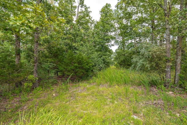 TBD The Lodges Dr, Lampe, MO 65681 - photo 5