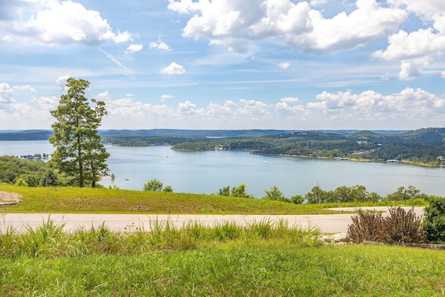 TBD The Lodges Dr, Lampe, MO 65681 - photo 2
