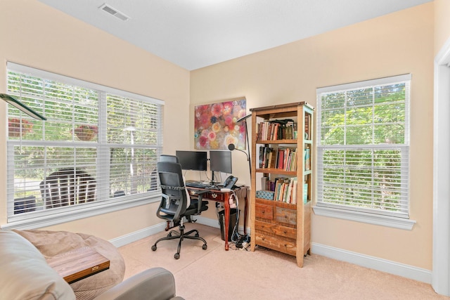 1005 Buck Ln, Merriam Woods, MO 65740 - photo 7