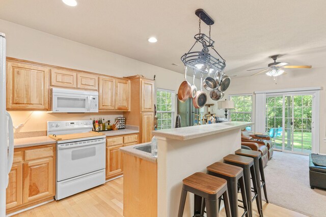 1005 Buck Ln, Merriam Woods, MO 65740 - photo 13