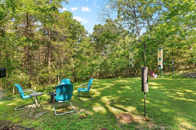 1005 Buck Ln, Merriam Woods, MO 65740 - photo 26