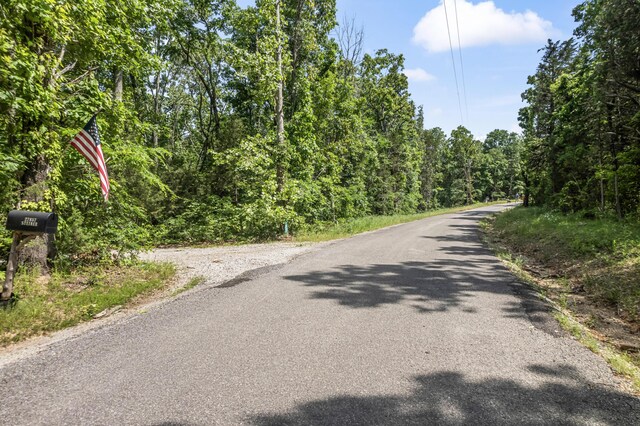 27857 Farm Rd Unit 1250, Golden, MO 65658 - photo 25