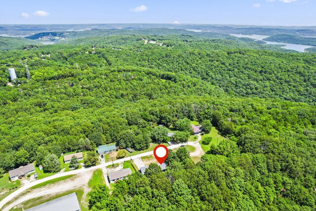 98 Whitney Ln, Lampe, MO 65681 - photo 28