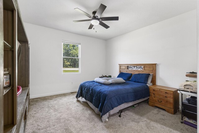 98 Whitney Ln, Lampe, MO 65681 - photo 13