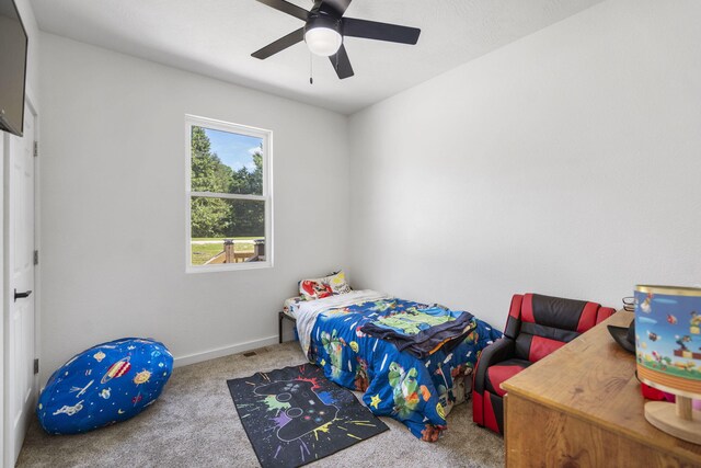 98 Whitney Ln, Lampe, MO 65681 - photo 19