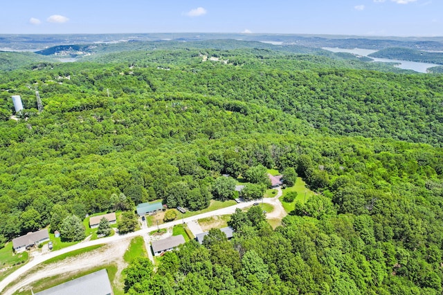 98 Whitney Ln, Lampe, MO 65681 - photo 27