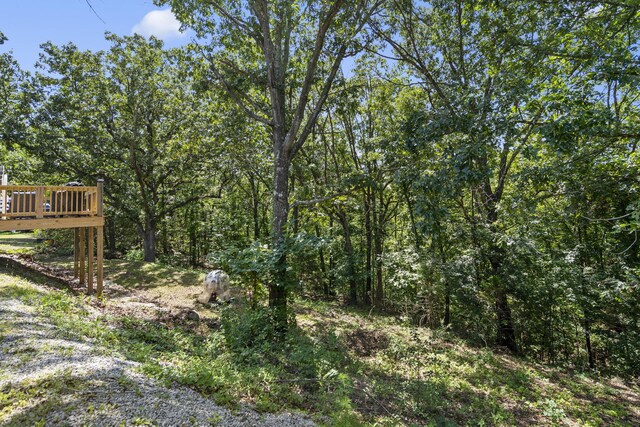 98 Whitney Ln, Lampe, MO 65681 - photo 25