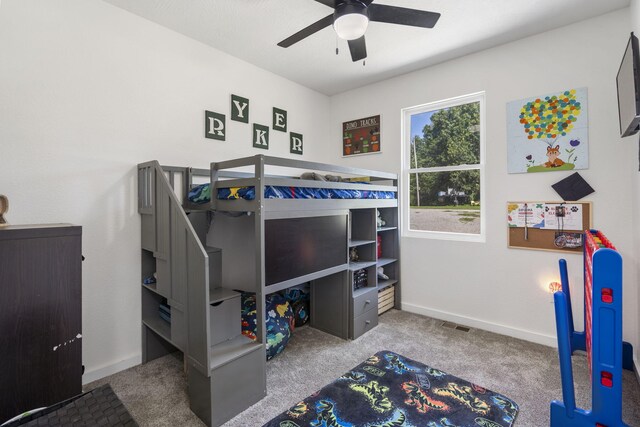98 Whitney Ln, Lampe, MO 65681 - photo 20