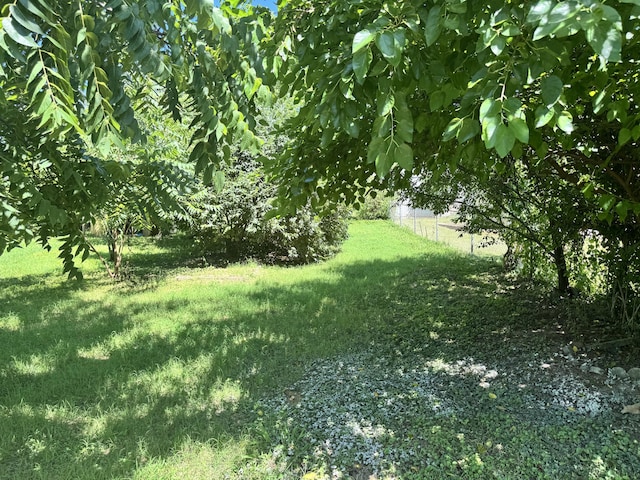 2234 N Fay Ave, Springfield, MO 65803 - photo 24