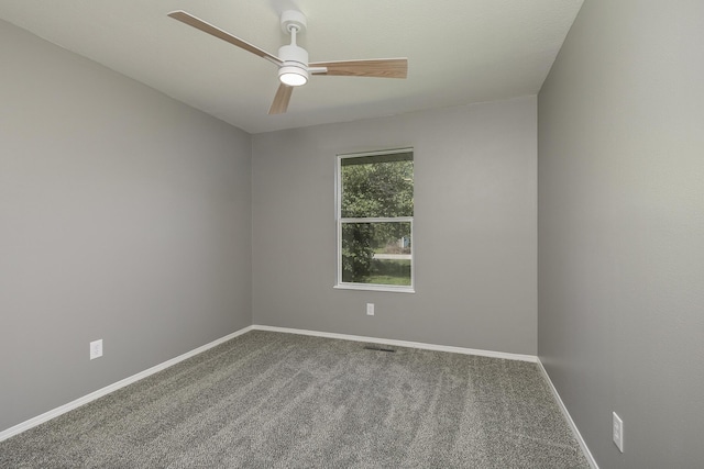 833 N Homewood Ave, Springfield, MO 65803 - photo 19