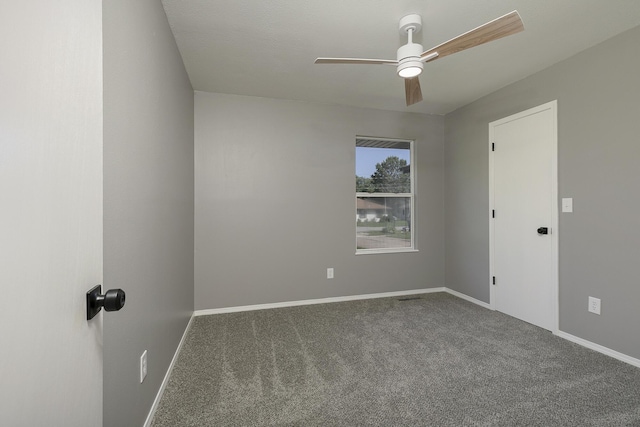 833 N Homewood Ave, Springfield, MO 65803 - photo 21