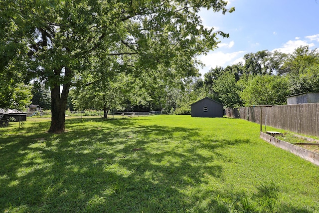 833 N Homewood Ave, Springfield, MO 65803 - photo 26