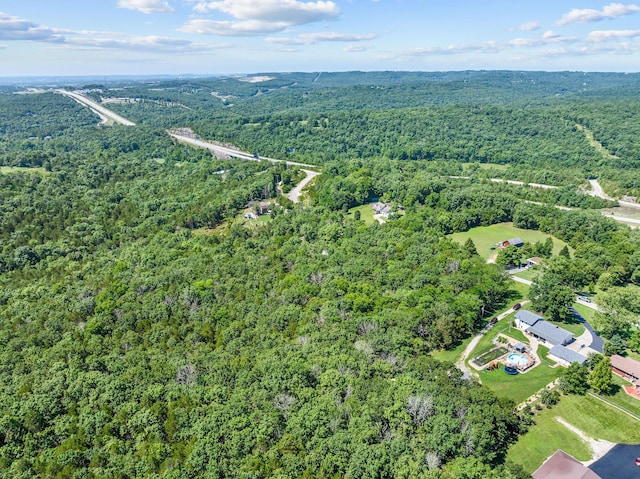 000 Bristol Rd, Walnut Shade, MO 65771 - photo 6