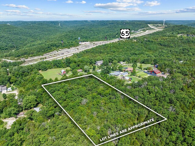 000 Bristol Rd, Walnut Shade, MO 65771 - photo 2