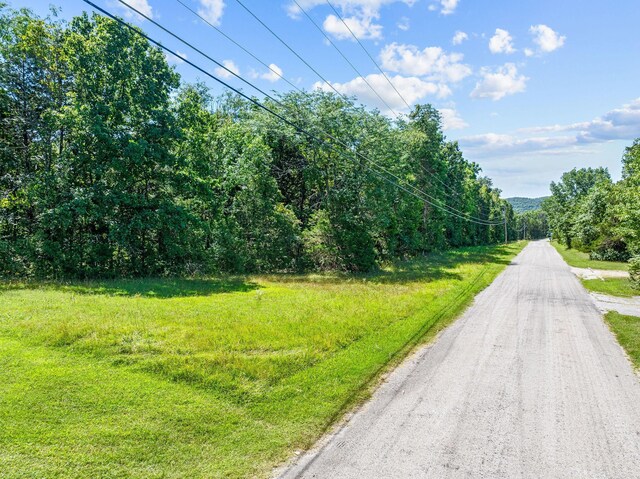 000 Bristol Rd, Walnut Shade, MO 65771 - photo 4